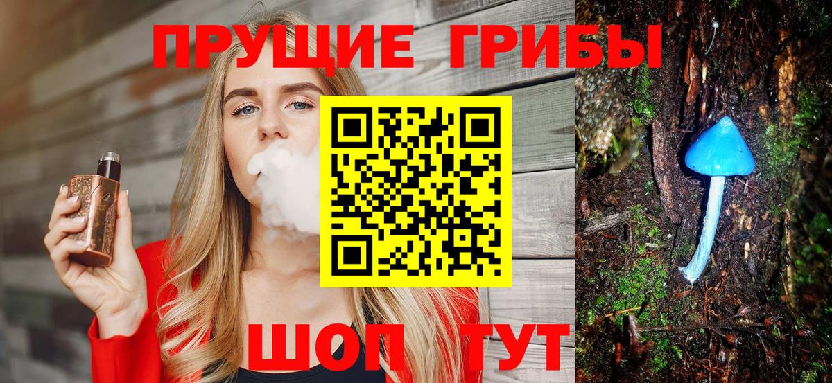 Галлюциногенные грибы MAGIC MUSHROOMS  Вход с VPN  Заинск 
