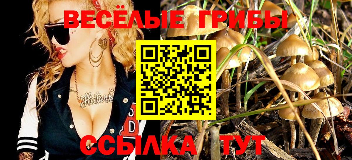 Галлюциногенные грибы мухоморы Заинск